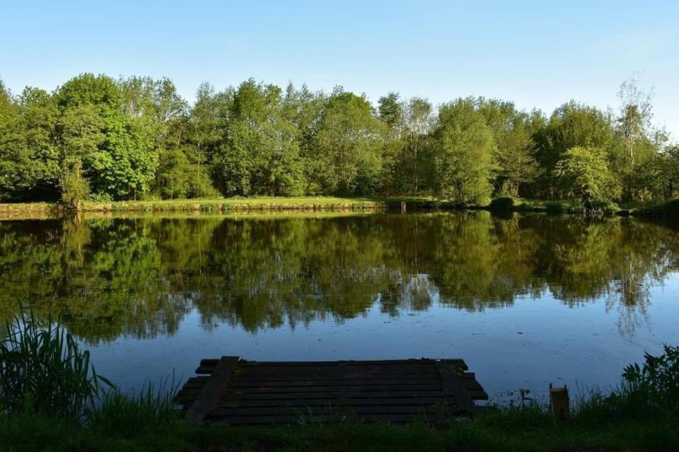 Goldie's Retreat Apartment
